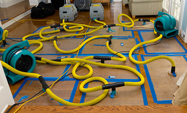 Professional Structural Drying And Dehumidification technician working in Colon, MI